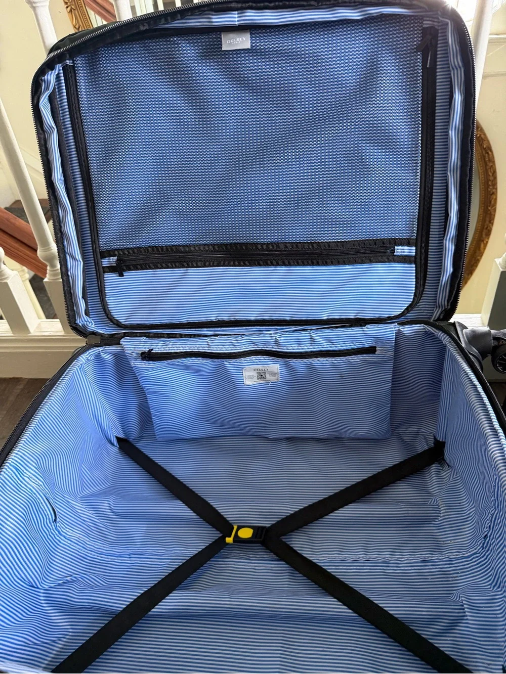Delsey Paris Dark Green Medium Check-In and Carry-On Luggage